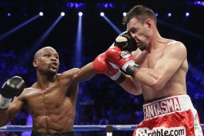 爱游戏登录入口-保利斯塔主场战绩稳健，保利斯塔嘉宝果介绍